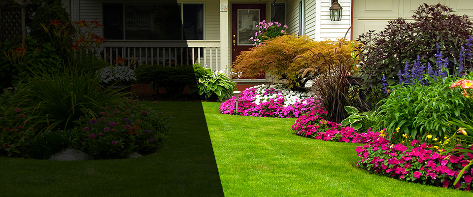 Daleville Landscapers